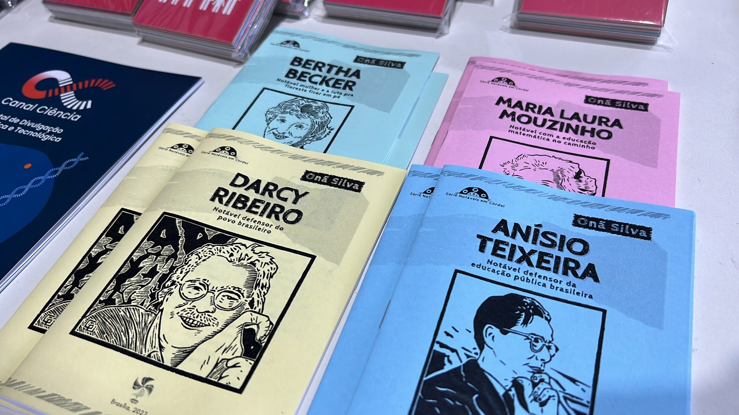 Conheça a Série Notáveis em Cordel